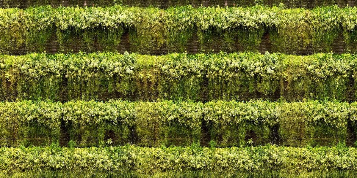 Green wall on Regent Street